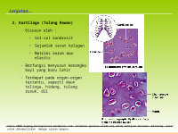 Page 16: [PPT]video slide - Biologi 4 All | for who loving biologi and … · Web view1. Jaringan Epithelium Tersusun sangat rapat satu dengan lainnya Lapisan sel selalu menghadap ke permukaan